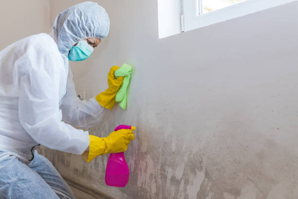 Best Crawl Space Mold Remediation  in Scott City, MO