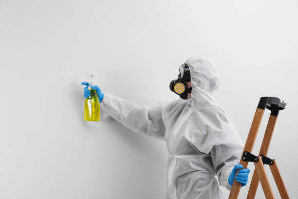 Best Environmental Consulting for Mold Prevention  in Scott City, MO