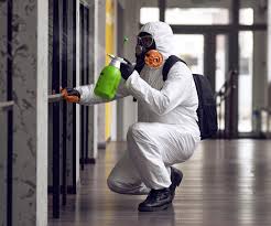 Best Comprehensive Air Testing for Mold Contaminants  in Scott City, MO